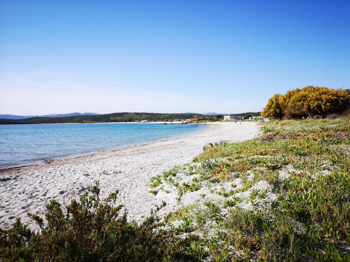 Insardinia House Trilocale A 200Mt Dalla Spiaggia Ольбія Екстер'єр фото