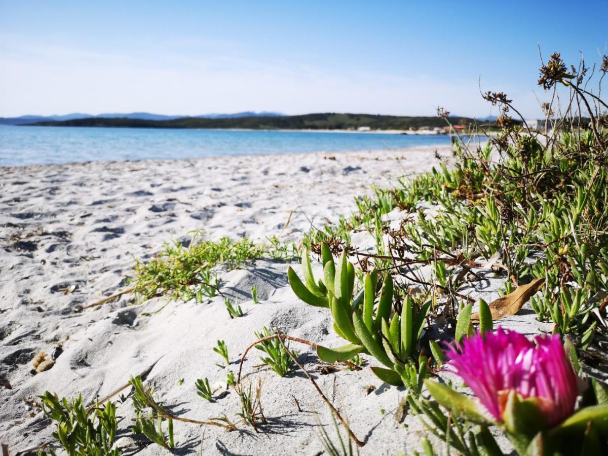 Insardinia House Trilocale A 200Mt Dalla Spiaggia Ольбія Екстер'єр фото